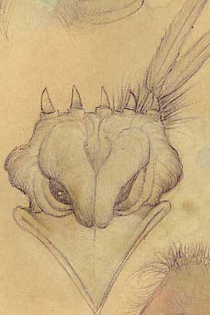 grotesque art